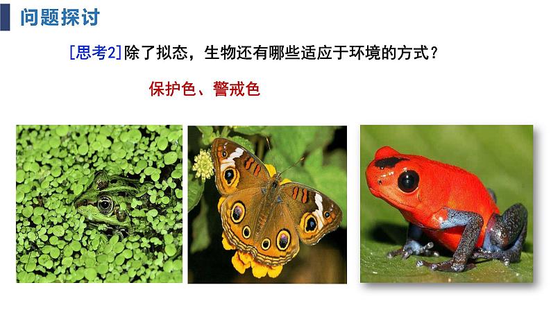 6.2自然选择与适应的形成课件2021-2022学年高一下学期生物人教版必修2第5页