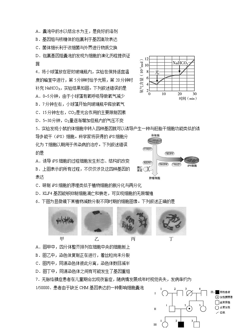 2022年北京市朝阳区高三下高考二模生物试卷（含答案）第2页