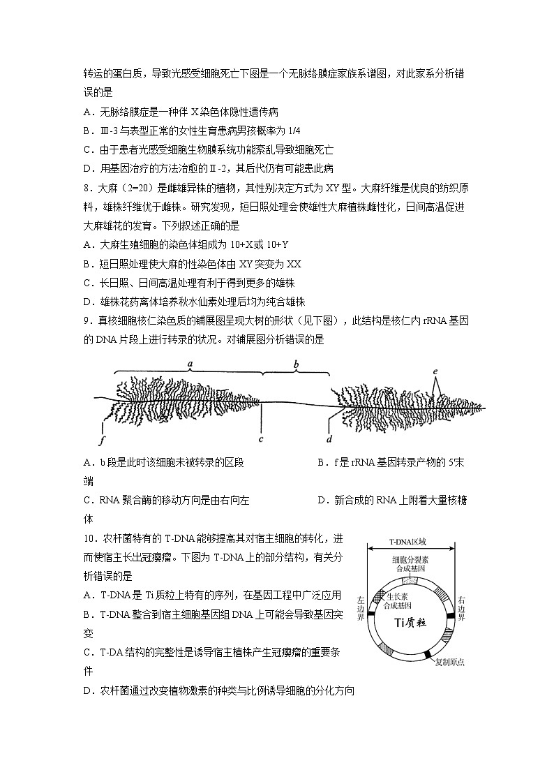 2022年北京市朝阳区高三下高考二模生物试卷（含答案）第3页