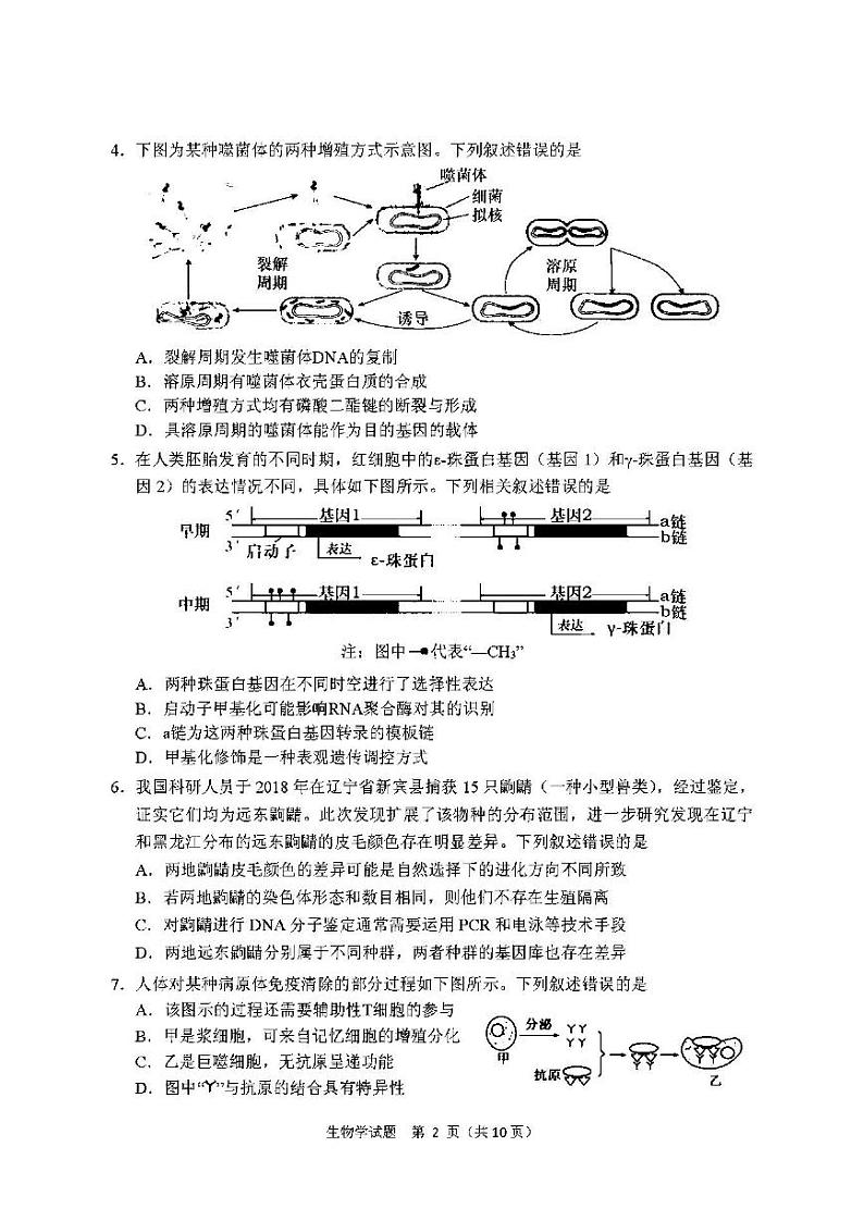 2022年大连市高三年级第二次模拟生物试题含答案第2页