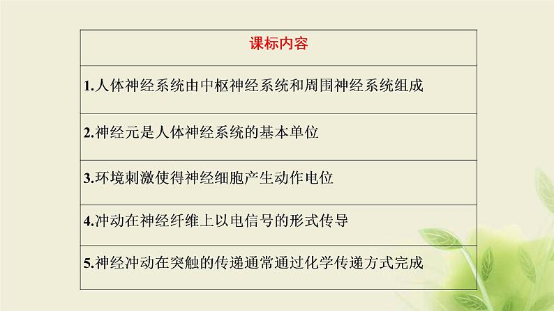 浙科版高中生物选择性必修1第二章神经调节第一节神经系统是神经调节的结构基础第二节神经冲动的产生和传导课件02