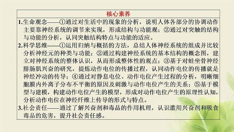 浙科版高中生物选择性必修1第二章神经调节第一节神经系统是神经调节的结构基础第二节神经冲动的产生和传导课件03