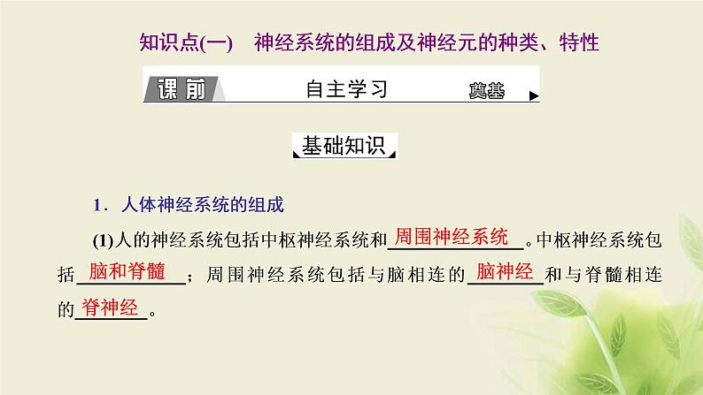 浙科版高中生物选择性必修1第二章神经调节第一节神经系统是神经调节的结构基础第二节神经冲动的产生和传导课件04