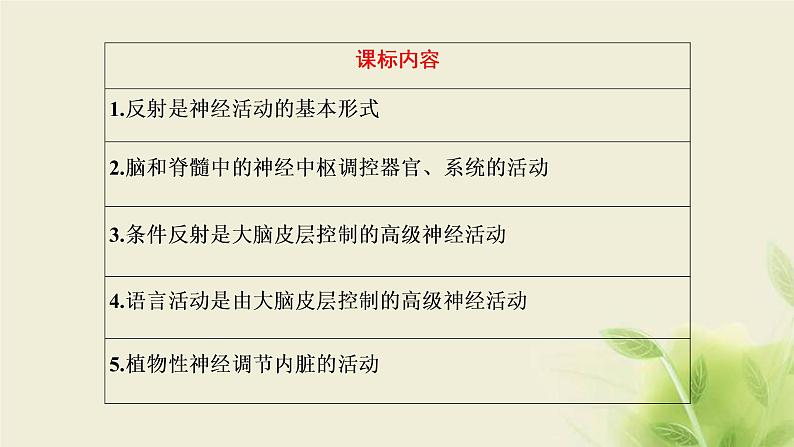 浙科版高中生物选择性必修1第二章神经调节第三节人体通过神经调节对刺激做出反应课件02