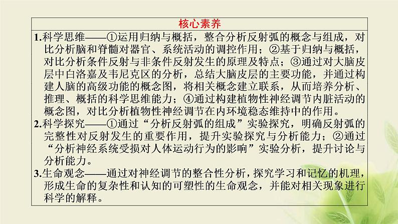 浙科版高中生物选择性必修1第二章神经调节第三节人体通过神经调节对刺激做出反应课件03