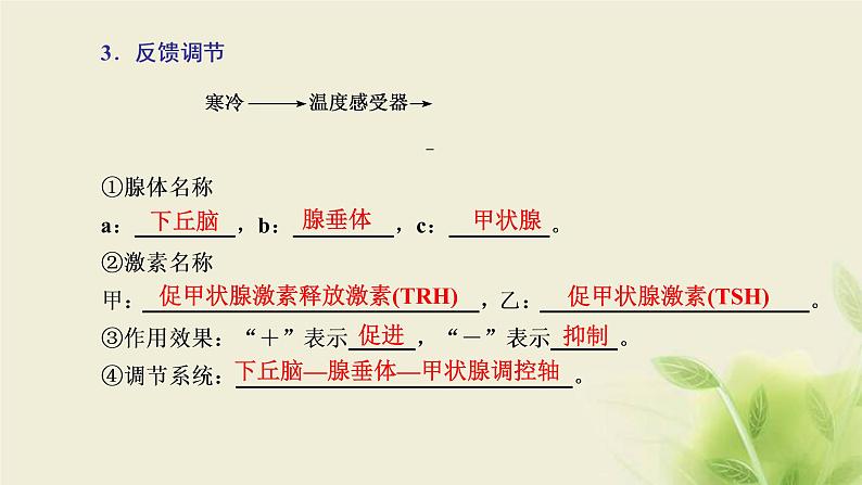 浙科版高中生物选择性必修1第三章体液调节第二节神经系统通过下丘脑控制内分泌系统课件05