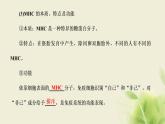 浙科版高中生物选择性必修1第四章免疫调节第一节免疫系统识别“自己”和“非己”第二节人体通过非特异性免疫对抗病原体课件