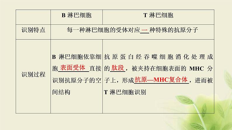 浙科版高中生物选择性必修1第四章免疫调节第三节人体通过特异性免疫对抗病原体课件第5页