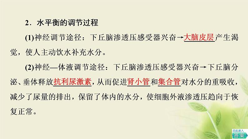 苏教版高中生物选择性必修1第二章人体内环境与稳态第3节水盐平衡的调节课件05