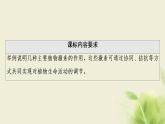 苏教版高中生物选择性必修1第四章植物生命活动的调节第2节第1课时其他植物激素及其生理功能植物激素共同调节植物的生命活动课件