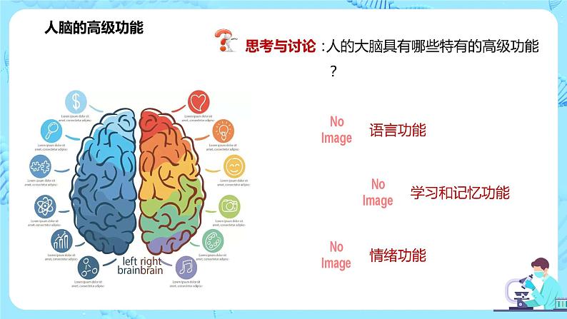 第五节《人脑的高级功能》课件+教案05