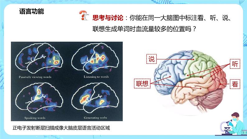 第五节《人脑的高级功能》课件+教案07