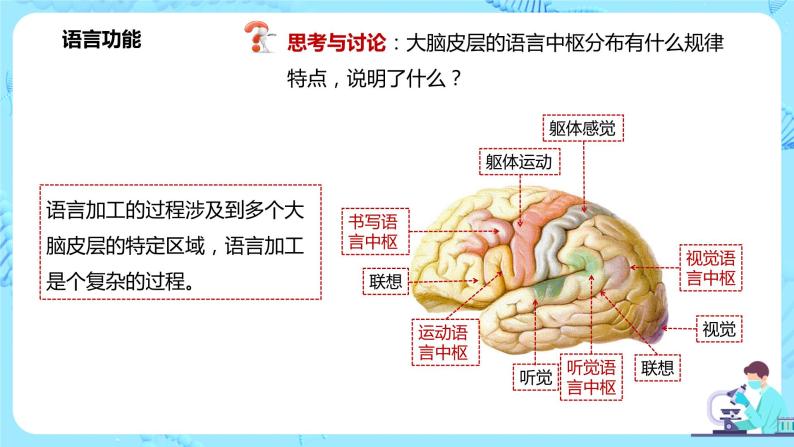 第五节《人脑的高级功能》课件+教案08