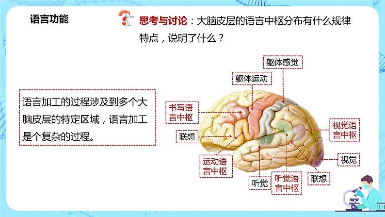 第五节《人脑的高级功能》课件+教案08