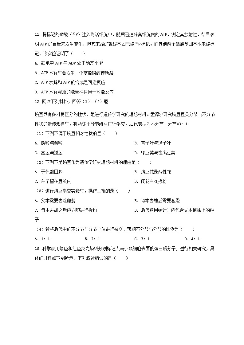 浙江省台州市2021-2022学年高一上学期期末质量评估生物试题 Word版含答案03