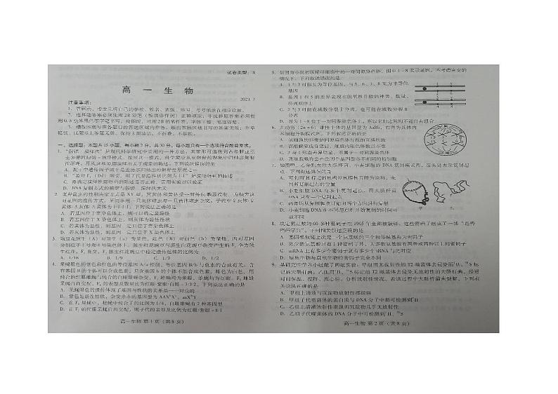 2021潍坊高一下学期期末考试生物试题扫描版含答案01