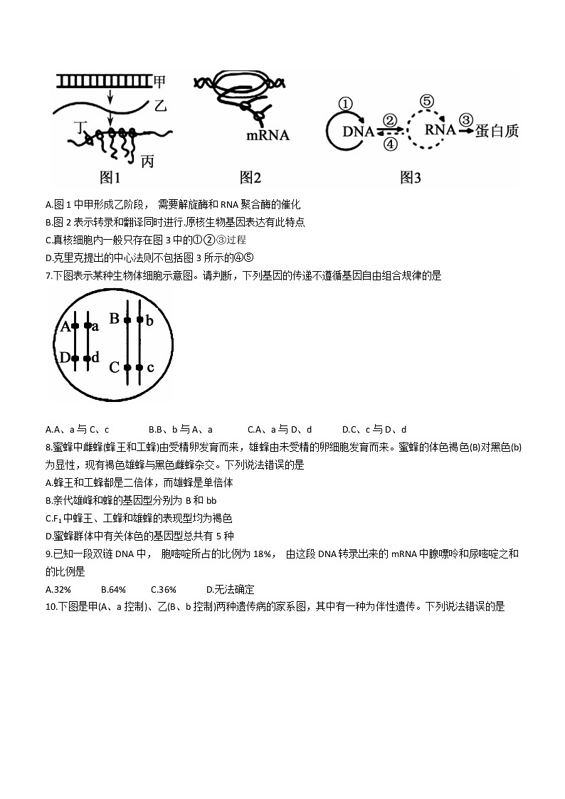 2021枣庄高一下学期期末考试生物试题含答案第2页