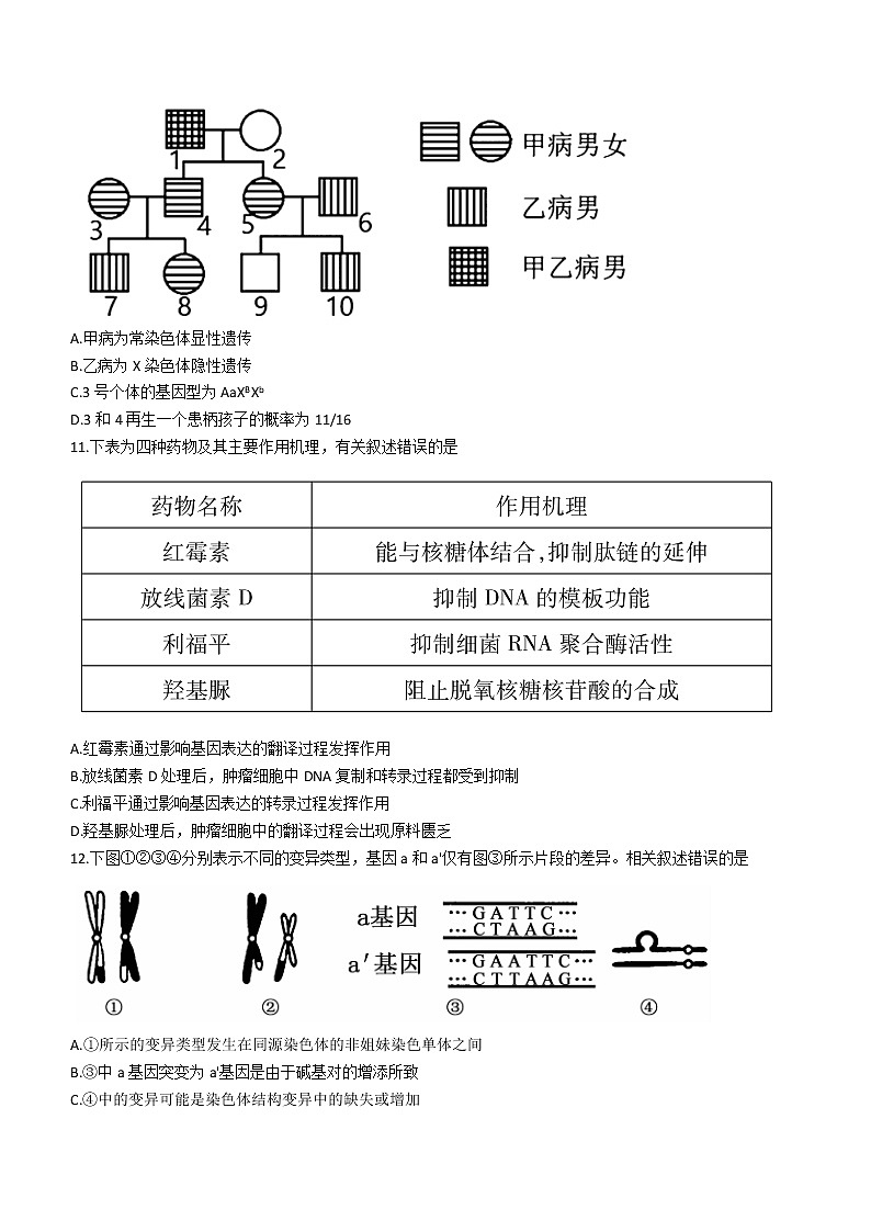 2021枣庄高一下学期期末考试生物试题含答案第3页