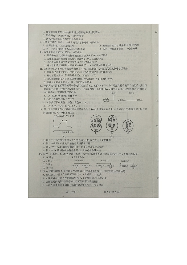 山西省吕梁市2020-2021学年第二学期期末考试高一生物试题第2页