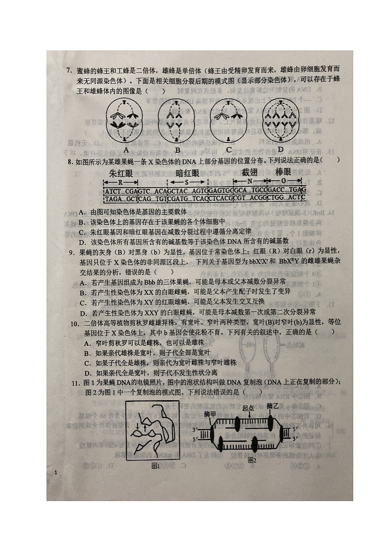 2021六安一中高一下学期期末考试生物试题扫描版含答案02