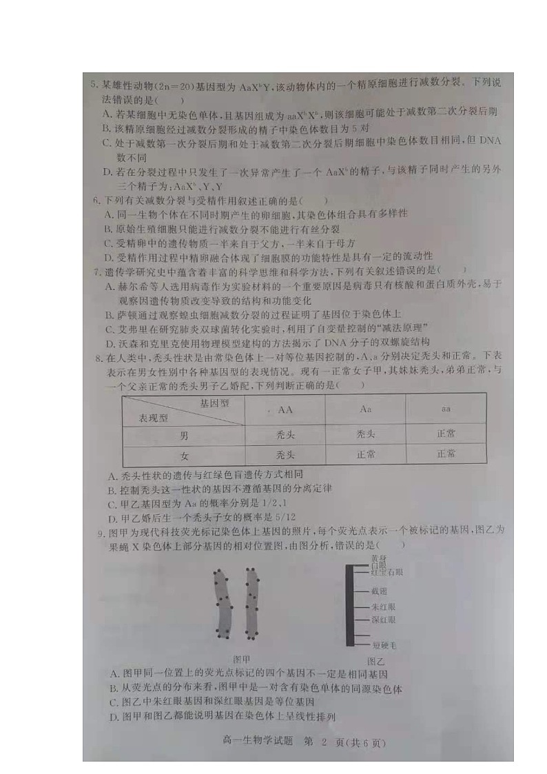 2021黄冈高一下学期期末生物试题图片版含答案02