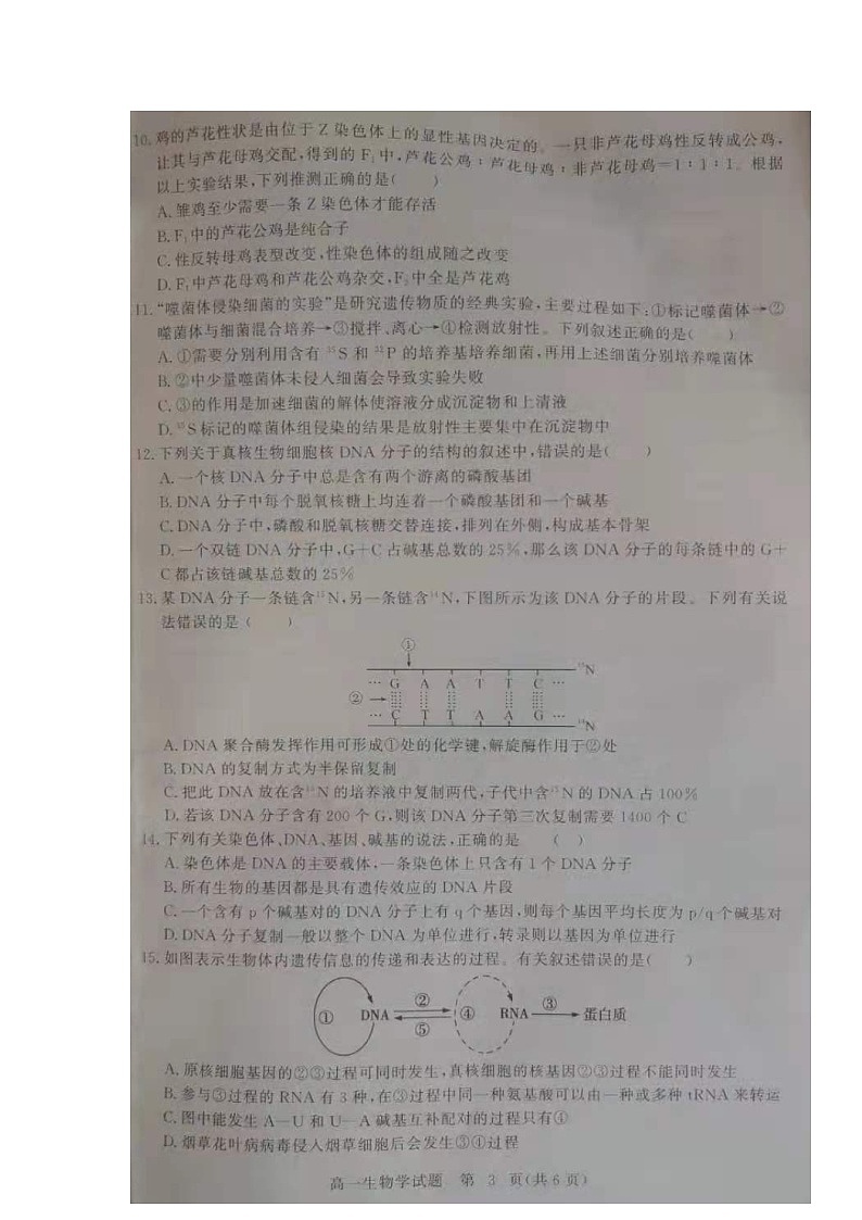 2021黄冈高一下学期期末生物试题图片版含答案03