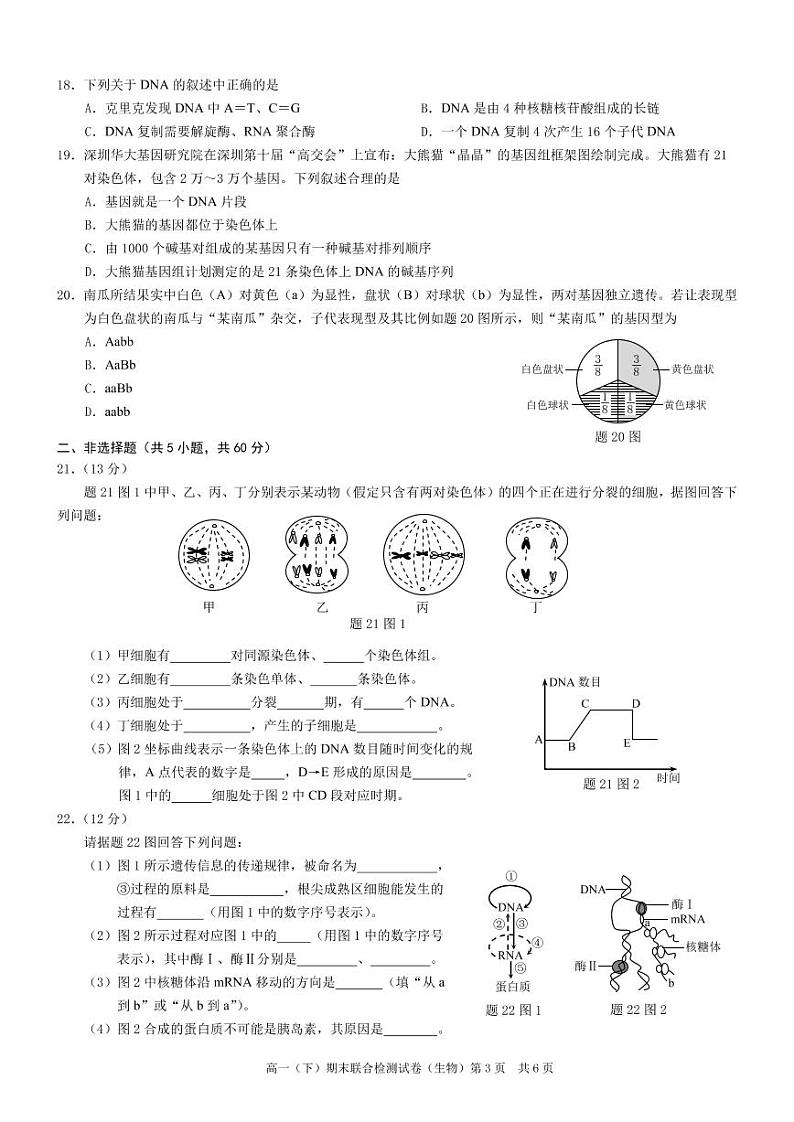 2021重庆市（康德教育）高一下学期期末联合检测生物试题PDF版含答案03