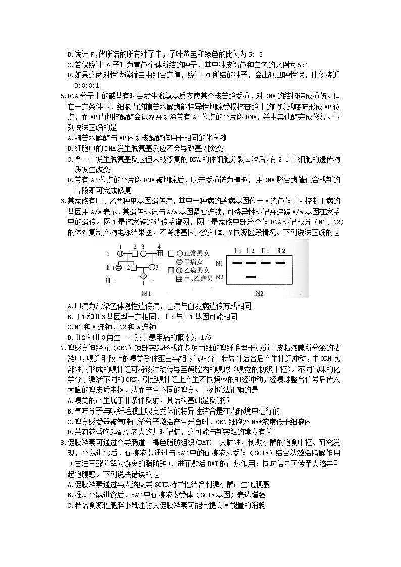 2022济南高三下学期高考模拟（二模）生物试题含解析02