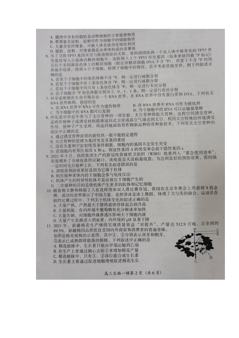 2022怀化高三第一次模拟考试生物试卷含答案02