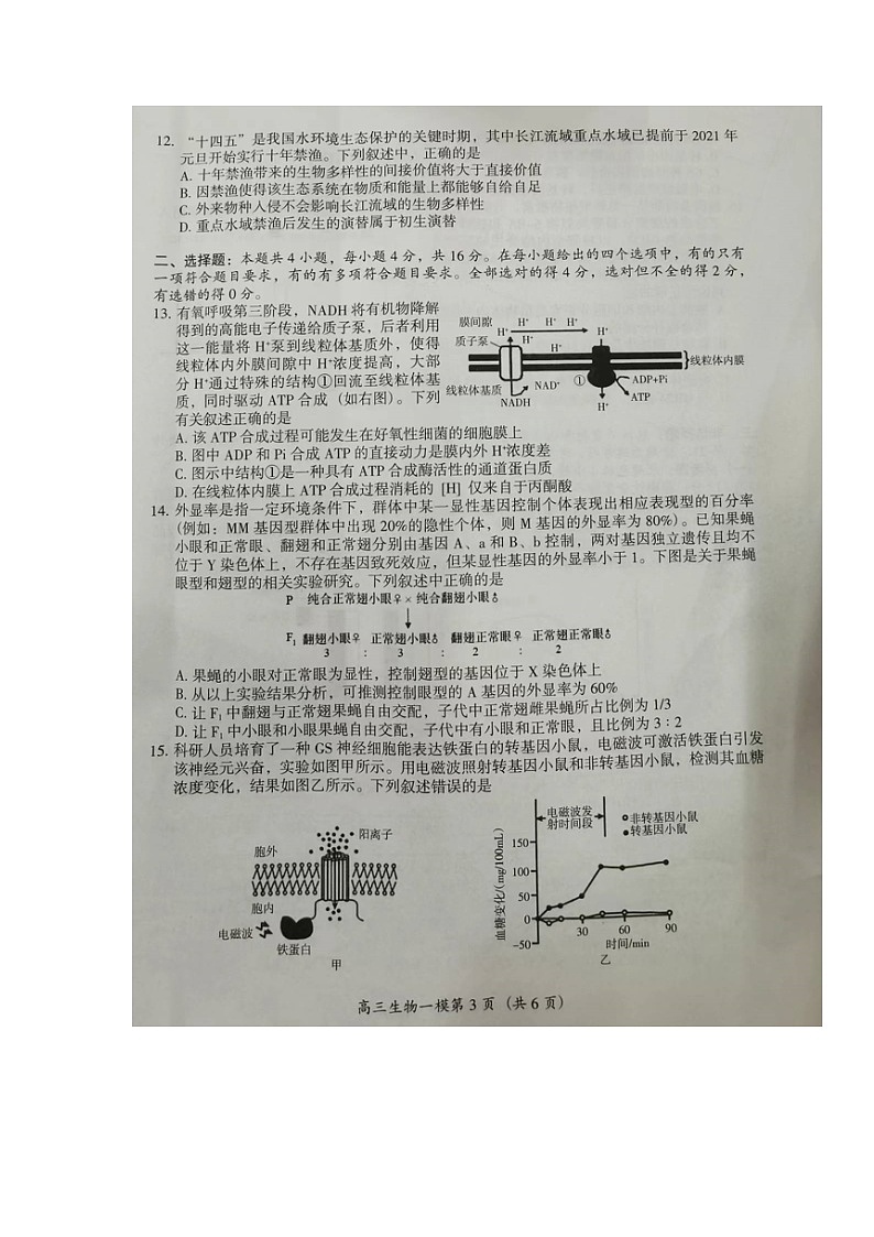 2022怀化高三第一次模拟考试生物试卷含答案03