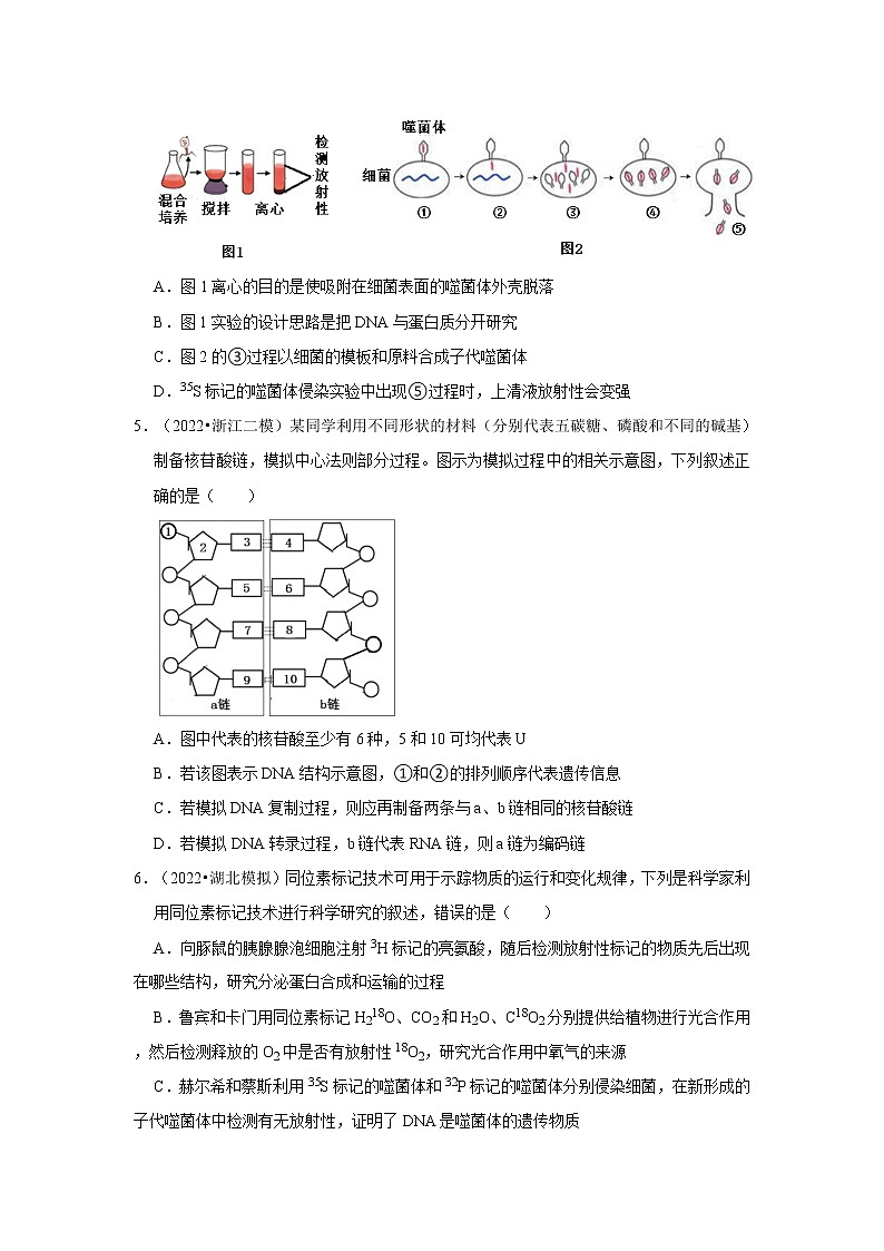 高2022届 高三 生物考前20天终极冲刺 基因的本质专项训练（含解析答案）第2页