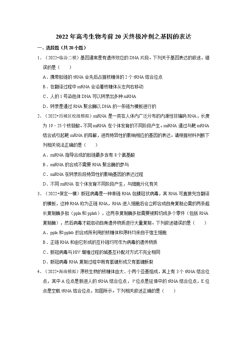 高2022届 高三 生物考前20天终极冲刺 基因的表达专项训练（含解析答案）第1页