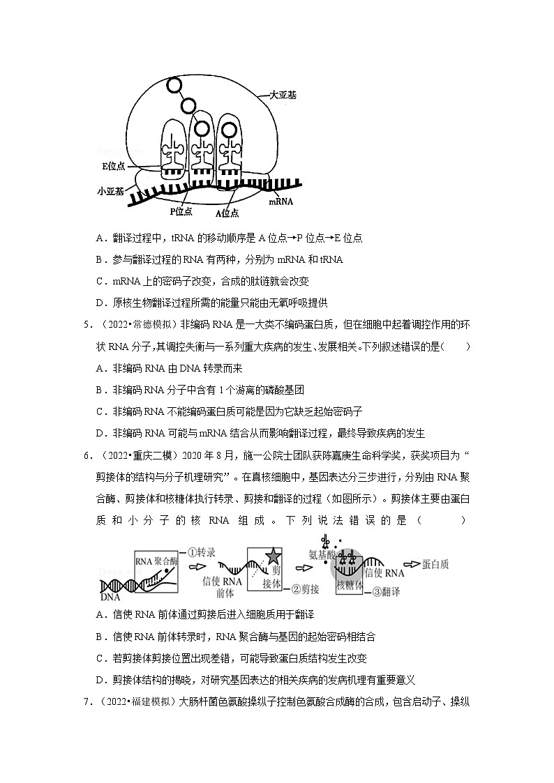 高2022届 高三 生物考前20天终极冲刺 基因的表达专项训练（含解析答案）第2页