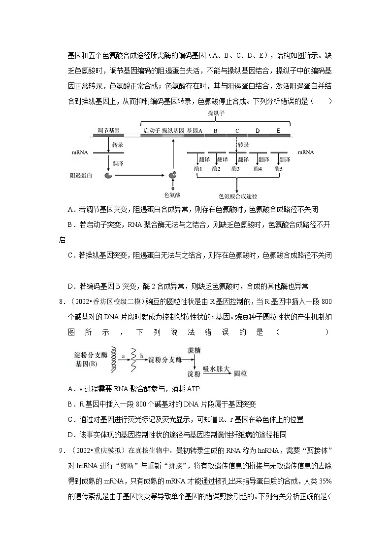 高2022届 高三 生物考前20天终极冲刺 基因的表达专项训练（含解析答案）第3页