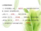 新人教版高中生物选择性必修第一册第1章人体的内环境与稳态第1节细胞生活的环境课件