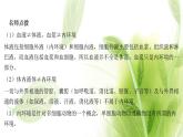新人教版高中生物选择性必修第一册第1章人体的内环境与稳态第1节细胞生活的环境课件