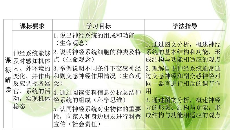 新人教版高中生物选择性必修第一册第2章神经调节第1节神经调节的结构基础课件02