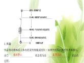 新人教版高中生物选择性必修第一册第2章神经调节第2节神经调节的基本方式课件