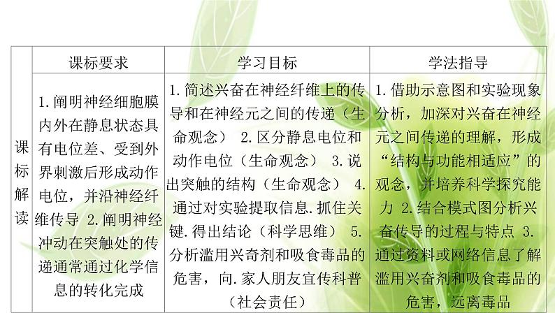 新人教版高中生物选择性必修第一册第2章神经调节第3节神经冲动的产生和传导课件02