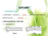 新人教版高中生物选择性必修第一册第2章神经调节第3节神经冲动的产生和传导课件