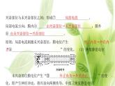 新人教版高中生物选择性必修第一册第2章神经调节第3节神经冲动的产生和传导课件