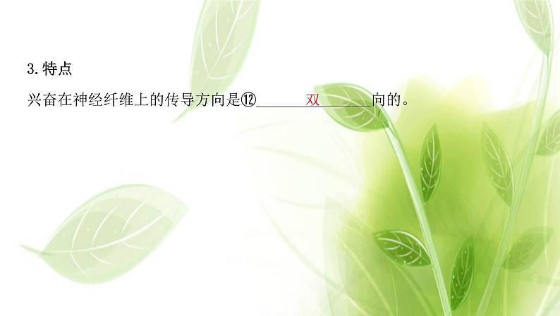 新人教版高中生物选择性必修第一册第2章神经调节第3节神经冲动的产生和传导课件06