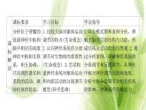 新人教版高中生物选择性必修第一册第2章神经调节第4节神经系统的分级调节课件