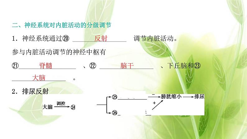 新人教版高中生物选择性必修第一册第2章神经调节第4节神经系统的分级调节课件08