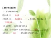 新人教版高中生物选择性必修第一册第3章体液调节第2节激素调节的过程课件