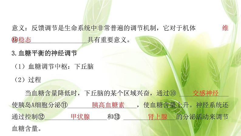 新人教版高中生物选择性必修第一册第3章体液调节第2节激素调节的过程课件第5页