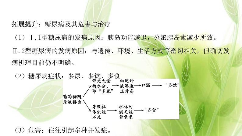 新人教版高中生物选择性必修第一册第3章体液调节第2节激素调节的过程课件第6页