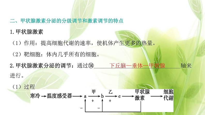 新人教版高中生物选择性必修第一册第3章体液调节第2节激素调节的过程课件第7页