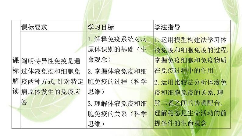 新人教版高中生物选择性必修第一册第4章免疫调节第2节特异性免疫课件02