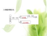 新人教版高中生物选择性必修第一册第4章免疫调节第2节特异性免疫课件